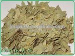 Watersoluble Sennosides A+B 8% 20% 40% Senna Leaf Extract