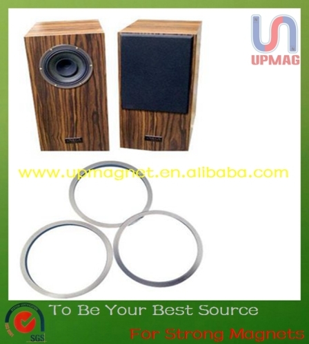 Ring permanent magnets for speaker