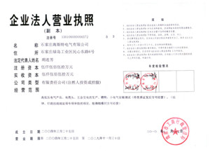 Shijiazhuang Histe Electronic Co.,Ltd