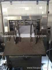 Automatic Cartoning Machine for Blister