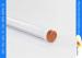 High Lumen 120v LED T8 Tube Light 2ft 9 w Replacemetn For Conventional Fluorescent Tube