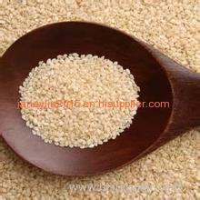 New Crop White Sesame