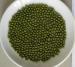 New Crop Green Mung Bean