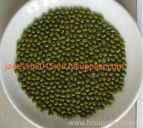 100% Non-Gmo Green Mung Bean