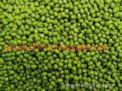 100% Non-Gmo Green Mung Bean