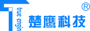 Wuhan True Engin Technology Development Co., Ltd.