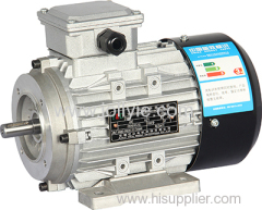 YL aluminum housing three-phase asynchronous motor / JL High output / high feeiciency/good price