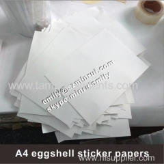 Factory Provide A4 Destructive Eggshell Sticker Papers Custom Breakable Ultra Destructible Vinyl Materials in A4 Sheets