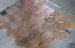 Durable Copper Waterproof Fish Scale Asphalt shingles / Fiberglass Roofing Tile