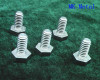 Titanium bolt & screw China Manufacturer