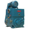 Rotary Piston Vacuum Pumps with Advanced Structure