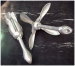High Holding Stainless Steel Marine Anchor