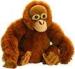 20cm Cute Wild Monkey Stuffed Animal Toys Eco Friendly Personalized