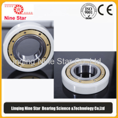 Electrically Insulated Bearing Manufacturer 95x145x24mm