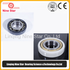 Electrically Insulated Bearing Manufacturer 95x145x24mm