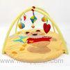 Winnie The Pooh Play Gym