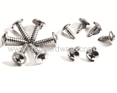 truss head self tapping screw