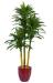 artificial tree artificial plants christmas tree christmas supplies home decoration holiday supplies