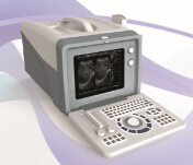 Portable Ultrasound Diagnostic System