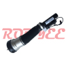 air suspension shock for mercedes benz s-class W220 front OE NO. A 220 320 24 38
