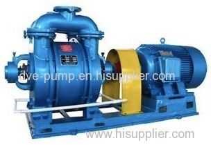 Single Grade Water Loop Pump Used for Food Industry Vacuum Drying
