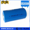 ER26500M C size battery 3.6V high rate batteries 6500mAh