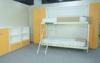 Stable Bunk Modern Wall Bed with Transformable Ladders for Children