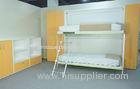 Stable Bunk Modern Wall Bed with Transformable Ladders for Children