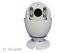 700TVL Home CCTV Camera Security Speed Dome , MINI PTZ Dome Camera Pan / Tilt