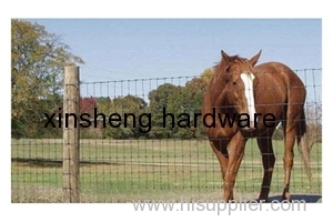 High Quality Protection Cattle Fence&Field Fence