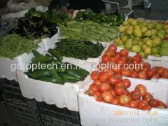 eps mold for vegetable boxes fruits packaging