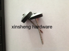 Umbrella Head Nails Supply From China