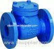 ANSI 16.10 BS4504 DIN 2533 One - way Check Valve PN10 PN16 Class 150LB - 2500 LB