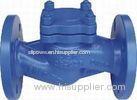 DIN 3356 Cast Iron Flanged Check Valve For Neutral Liquid DN15 - DN300 (H41H)