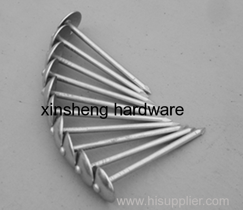 1.5''-5'' Common Roofing Nails with Umbrella Head