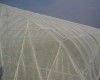 Sell sell Insect Netting