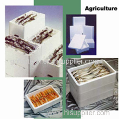 Water/Heat resistant EPS foam fish box mold with shock-absorbing characteristics made in China