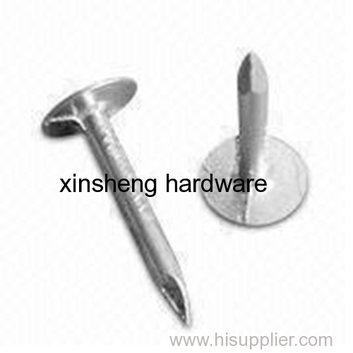 Steel Roofing Nails (made in China)