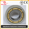 Insulated Wind Generator Bearing 95x170x32mm