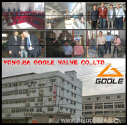 Zhejiang Goole Valve Co.,Ltd
