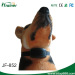 bark control collar dog accessories anti bark collar JF852