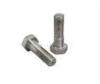 ANSI B18.2.1 Galvanized Hex Head Bolts Size M16 - M64 45# 40Cr