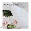 Agricultural PP Non Woven Fabric