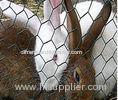 Galvanized Farm Hexagonal Wire Netting rabbit wire mesh with Zinc Coated