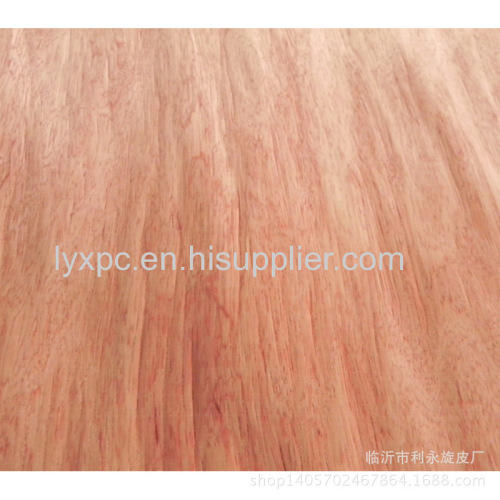 B Grade Eucalyptus core veneer