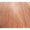 Rotary cut natural face veneer