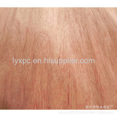 NATURAL EBONY WOOD VENEER Paramichelia baillonii veneers