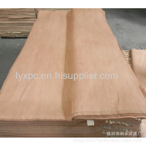 poplar plywood competitive reasonable price for furniture