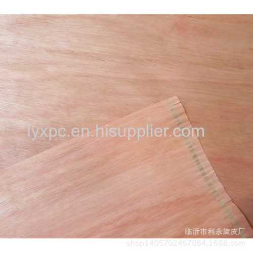 0.3mm rotary cutting keruing gurjan face veneer grade A