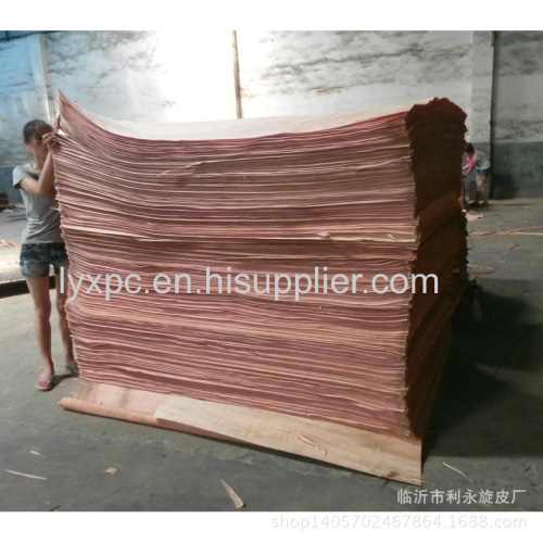 kinds of sizes and grade rotary cut plywood usage gurjan face veneer/bintangor veneer/keruing veneeer with competitive p